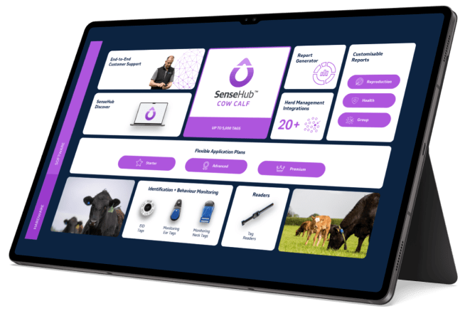 Tablet with sensehub app in purple